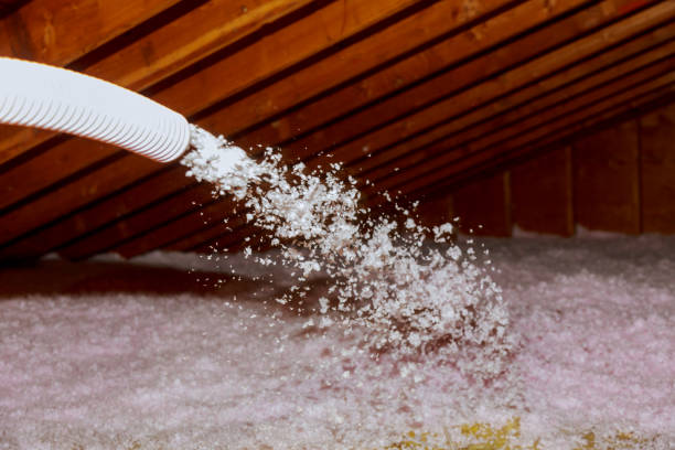 Best Residential Insulation in Hollywood Park, TX
