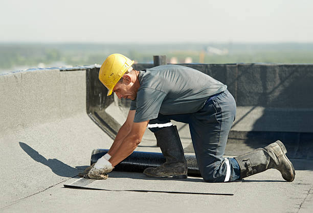 Best Insulation Installation Services in Hollywood Park, TX