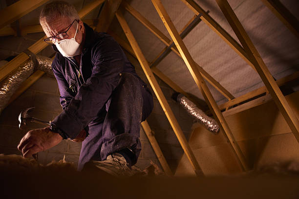 Best Residential Insulation in Hollywood Park, TX