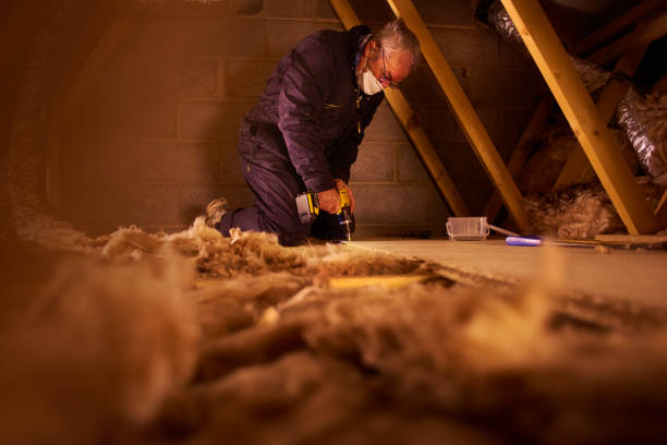 Best Insulation Maintenance and Repair in Hollywood Park, TX